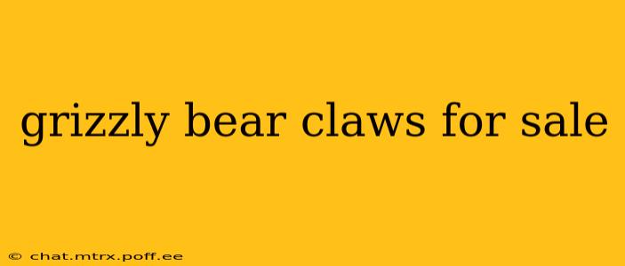 grizzly bear claws for sale