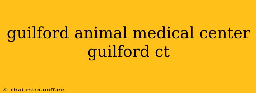 guilford animal medical center guilford ct