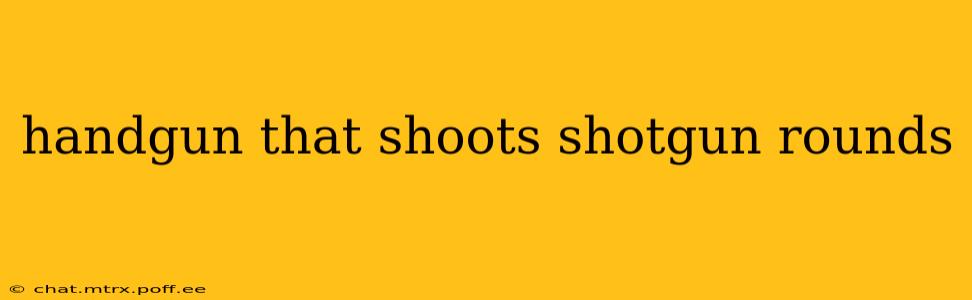 handgun that shoots shotgun rounds