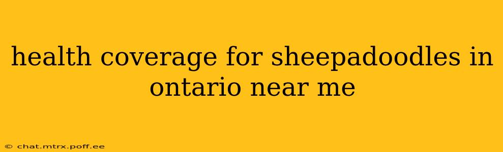 health coverage for sheepadoodles in ontario near me