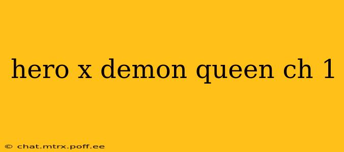 hero x demon queen ch 1