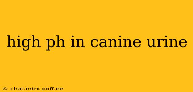 high ph in canine urine