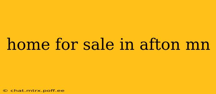 home for sale in afton mn