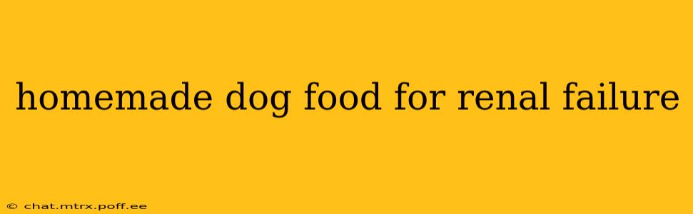 homemade dog food for renal failure