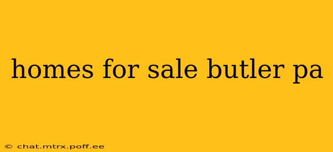 homes for sale butler pa