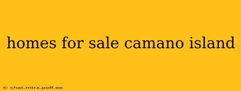 homes for sale camano island