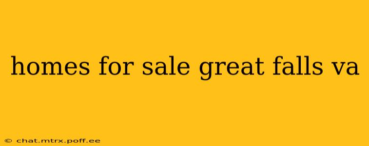 homes for sale great falls va
