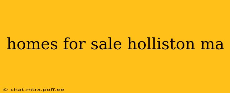 homes for sale holliston ma