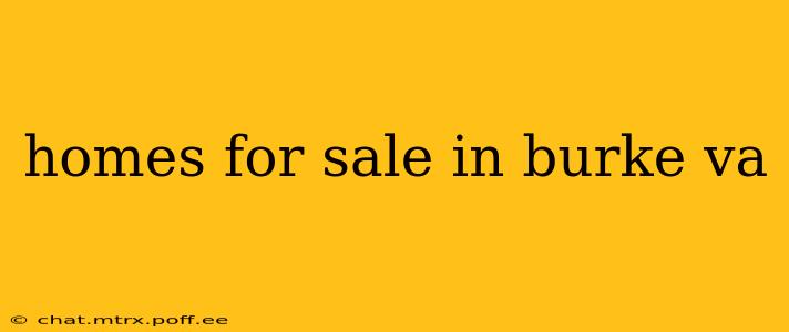 homes for sale in burke va