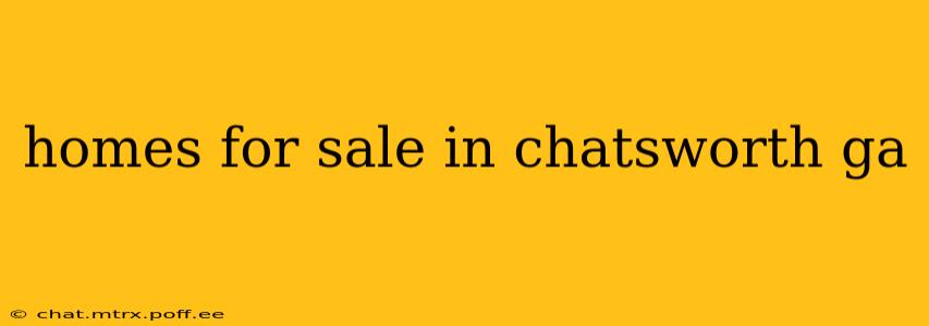 homes for sale in chatsworth ga