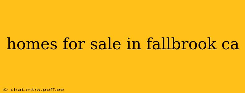 homes for sale in fallbrook ca