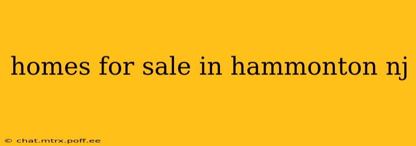 homes for sale in hammonton nj