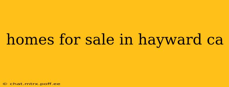 homes for sale in hayward ca