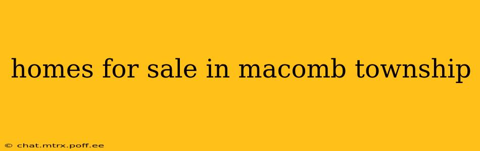 homes for sale in macomb township