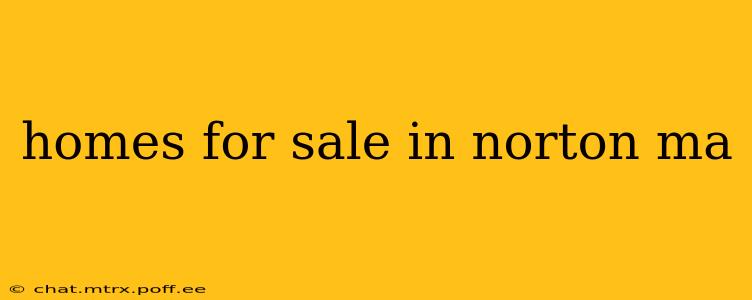 homes for sale in norton ma