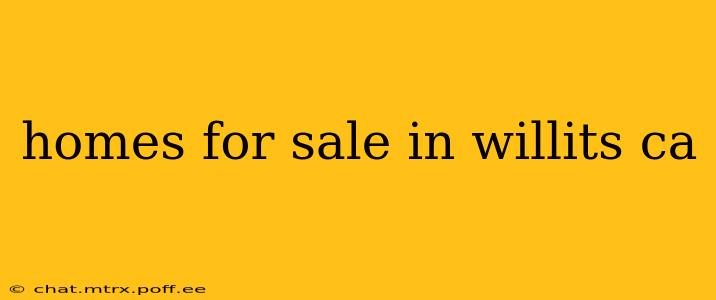 homes for sale in willits ca