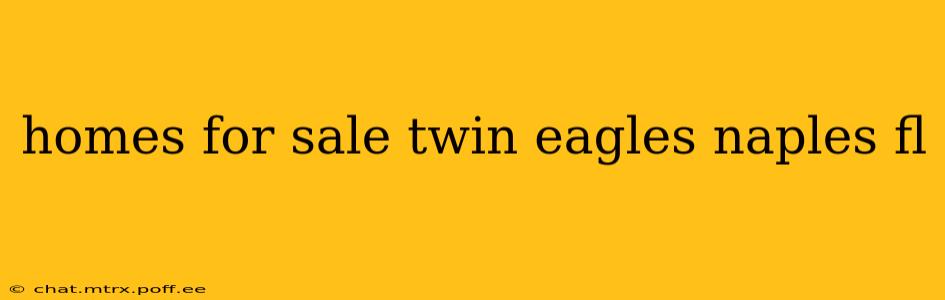 homes for sale twin eagles naples fl