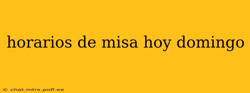 horarios de misa hoy domingo
