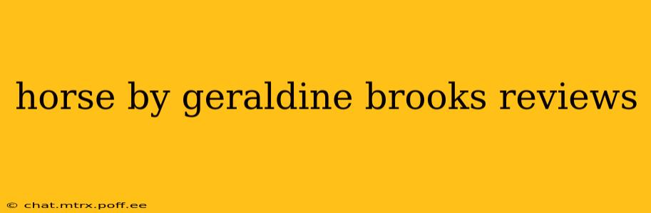 horse by geraldine brooks reviews