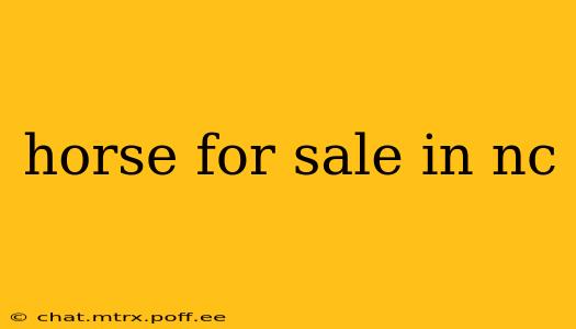 horse for sale in nc