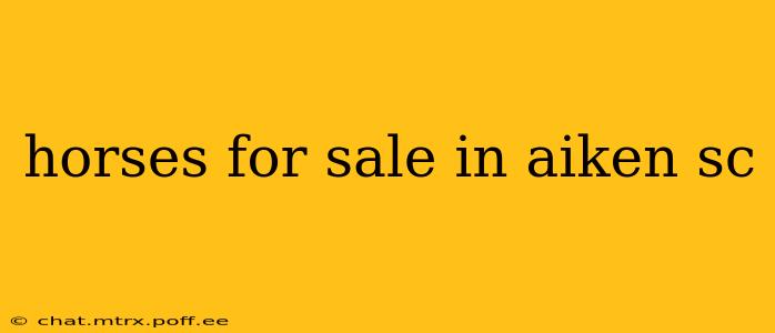 horses for sale in aiken sc