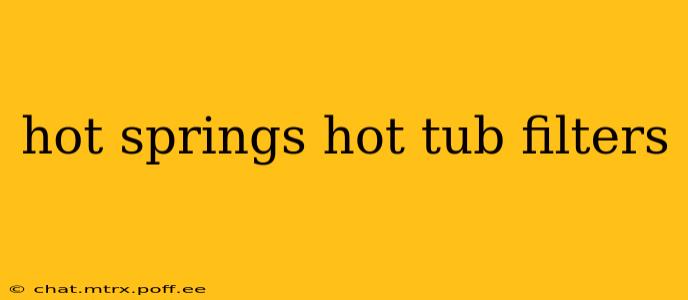 hot springs hot tub filters
