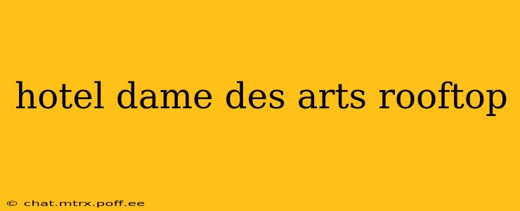 hotel dame des arts rooftop