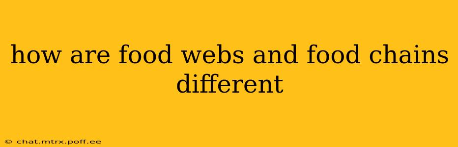 how are food webs and food chains different