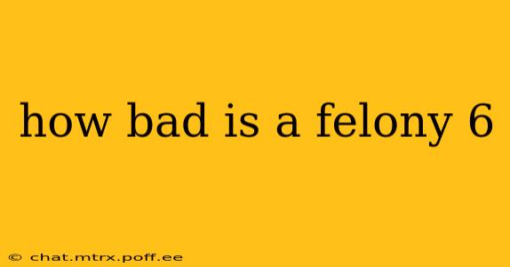 how bad is a felony 6