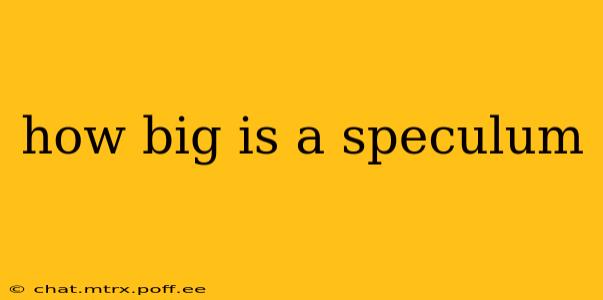 how big is a speculum