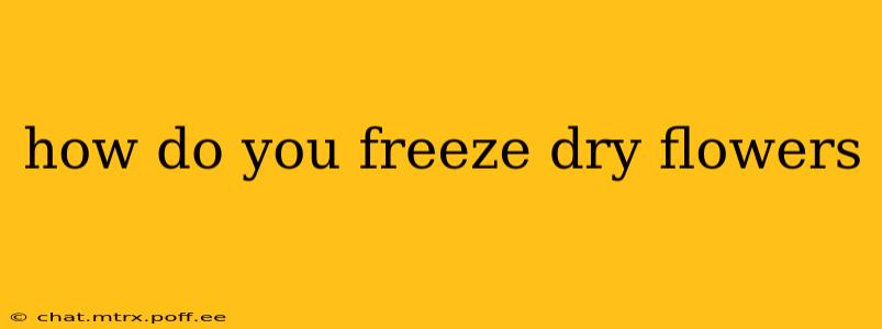 how do you freeze dry flowers
