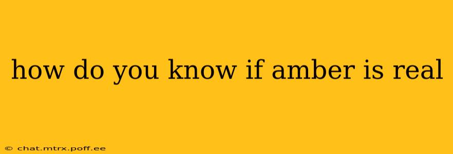 how do you know if amber is real