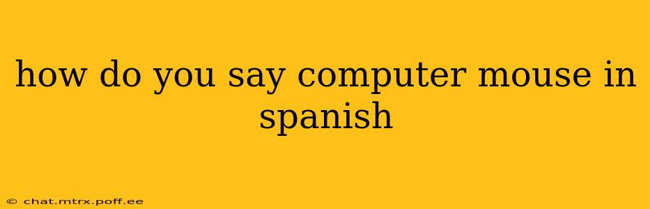 how do you say computer mouse in spanish