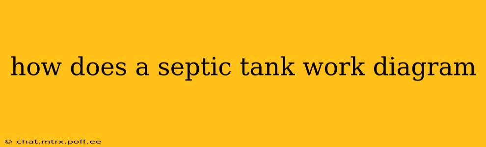 how does a septic tank work diagram