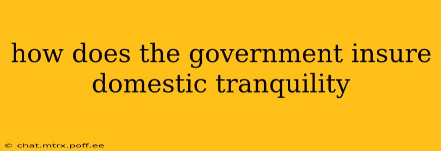 how does the government insure domestic tranquility