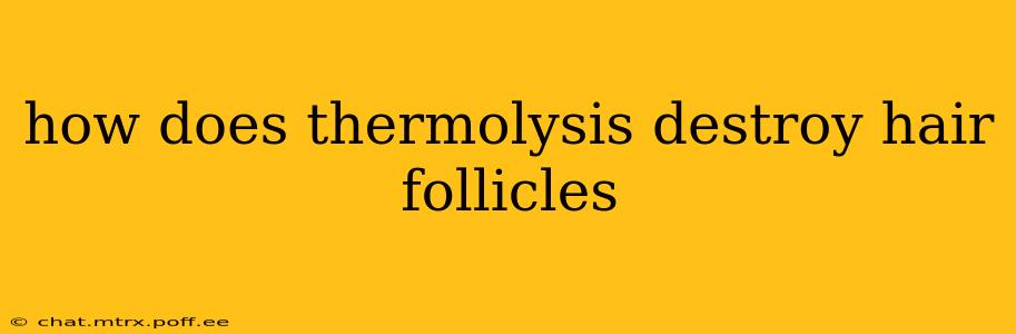 how does thermolysis destroy hair follicles