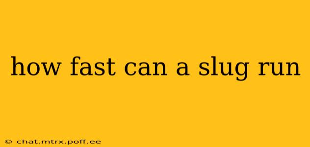how fast can a slug run