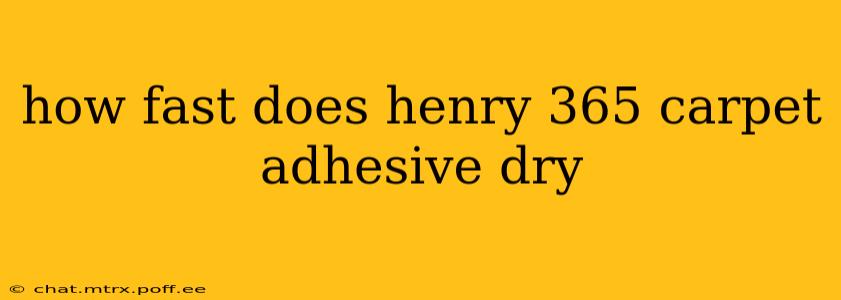 how fast does henry 365 carpet adhesive dry