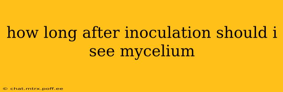 how long after inoculation should i see mycelium