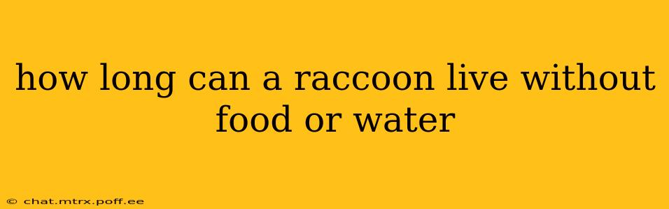 how long can a raccoon live without food or water
