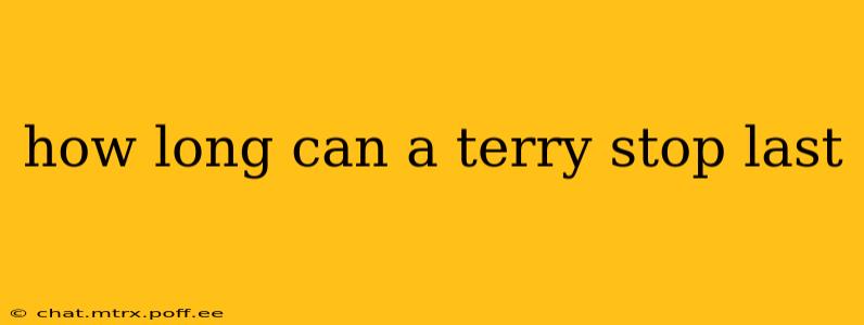 how long can a terry stop last