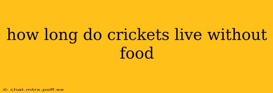 how long do crickets live without food