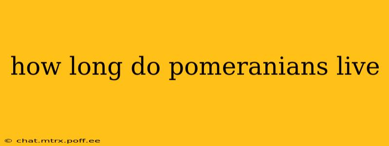how long do pomeranians live