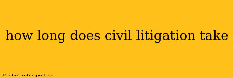 how long does civil litigation take
