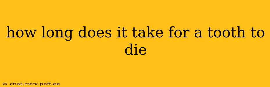 how long does it take for a tooth to die
