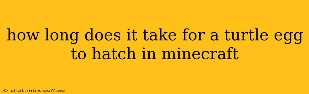 how long does it take for a turtle egg to hatch in minecraft