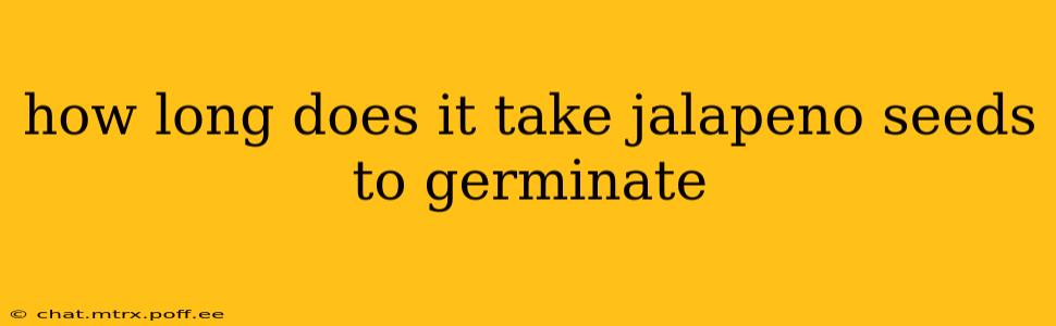 how long does it take jalapeno seeds to germinate
