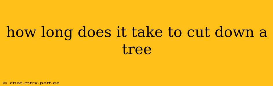 how long does it take to cut down a tree