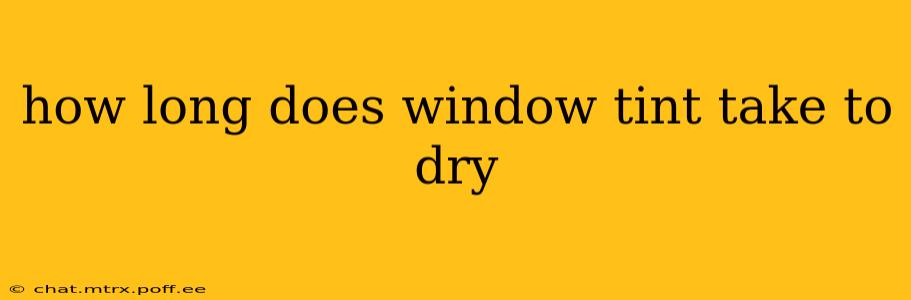 how long does window tint take to dry