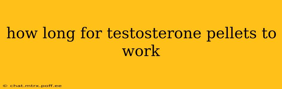 how long for testosterone pellets to work